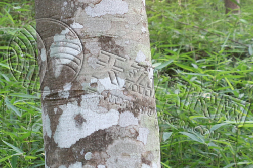 「輪胎硫化膠囊概述」看不見(jiàn)的“模具”，如何塑造每一只橡膠輪胎（八）