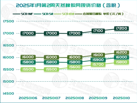 二零二五零一一五橡膠周圖一.jpg